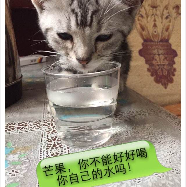 购买假韩国首尔女子大学文凭毕业证